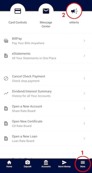 Mobile App Alerts