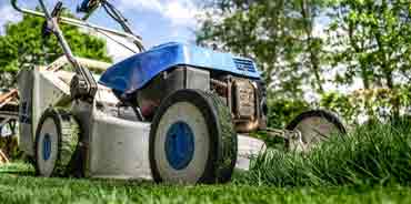 Lawn-Care Scams Sprout up in Spring 